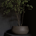 feld-atelier-roa-interior-galleryROAxArgument-Feld-11-scaled.webp