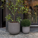 grove-atelier-roa-interior-galleryDSC3553-1-scaled.webp