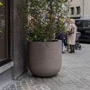 grove-atelier-roa-interior-galleryDSC3573-5-scaled.webp