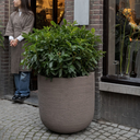 grove-atelier-roa-interior-galleryDSC3601-7-scaled.webp