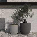 grove-atelier-roa-interior-galleryebf06d1d-1681-491f-b758-62540a12f36c.webp