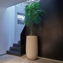 grove-atelier-roa-interior-galleryROA_Loam_Header.webp