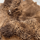 IMG_4418-far-collective-interior-gallery-sheepskin.webp
