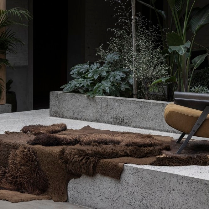 IMG_1290+2+copy-far-collective-interior-gallery-sheepskin.webp