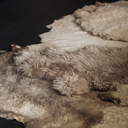 _G6A0720-far-collective-interior-gallery-sheepskin.webp