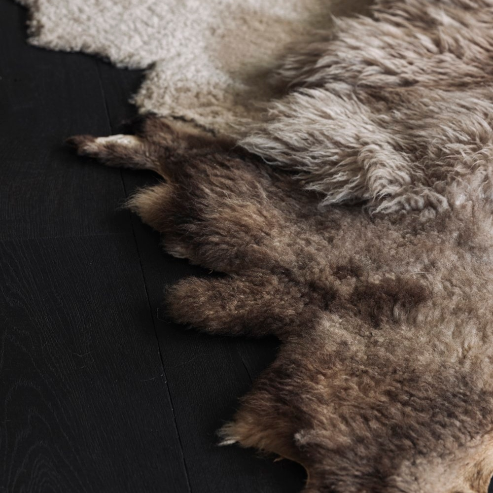 _G6A0735-far-collective-interior-gallery-sheepskin.webp