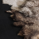 _G6A0735-far-collective-interior-gallery-sheepskin.webp