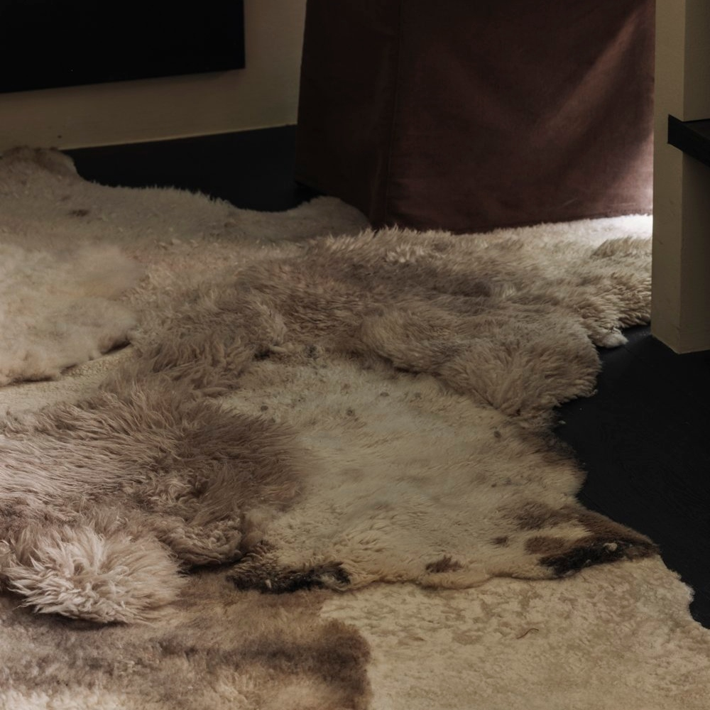 _G6A0726-far-collective-interior-gallery-sheepskin.webp
