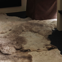 _G6A0726-far-collective-interior-gallery-sheepskin.webp