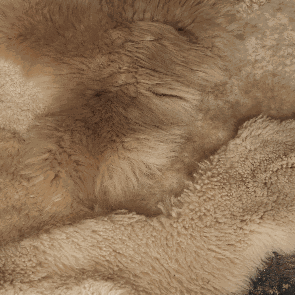 _G6A3253-far-collective-interior-gallery-sheepskin.webp