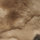 _G6A3253-far-collective-interior-gallery-sheepskin.webp