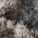 _G6A0682-far-collective-interior-gallery-sheepskin.webp