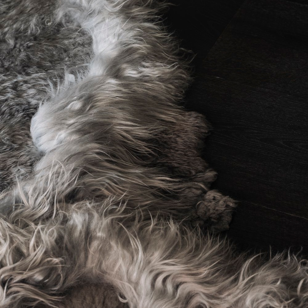 _G6A0681-far-collective-interior-gallery-sheepskin.webp
