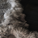 _G6A0681-far-collective-interior-gallery-sheepskin.webp