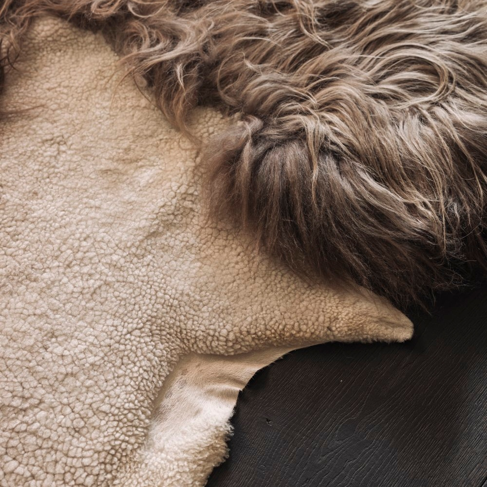 _G6A0851-far-collective-interior-gallery-sheepskin.webp