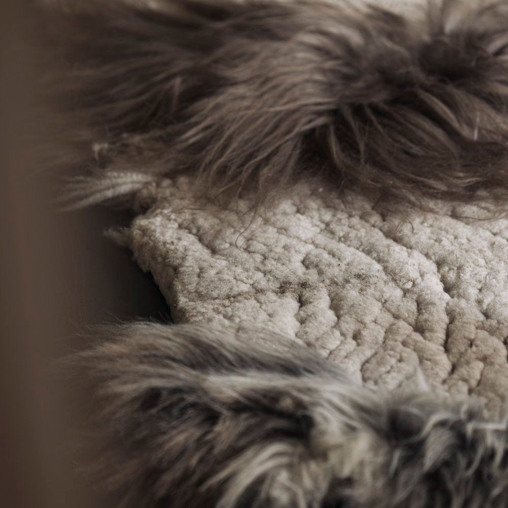 _G6A0836-far-collective-interior-gallery-sheepskin.webp
