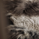 _G6A0836-far-collective-interior-gallery-sheepskin.webp