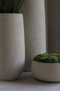 Feld ROA (6).webp