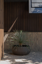 Feld ROA.webp