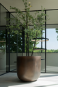 Grove - Copper Metal finish ROA.webp