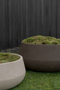 Feld ROA (8).webp