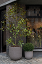 Grove en Drift ROA.webp