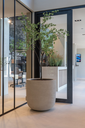 Grove ROA.webp