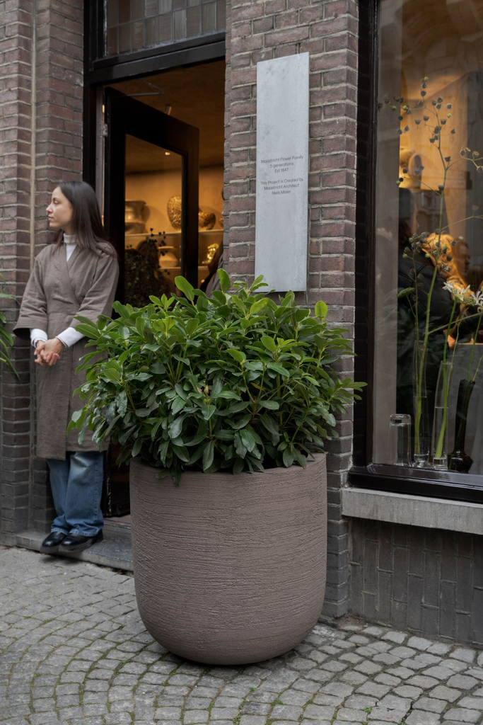 Grove ROA (4).webp