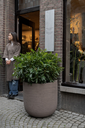 Grove ROA (4).webp