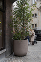 Grove ROA (3).webp
