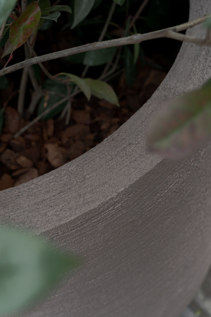 Grove Raw Original ROA.webp