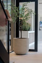 Grove ROA (5).webp