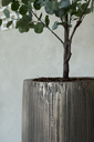 Loam - Bronze Vintage Metal ROA.webp