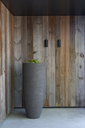 Dusk ROA (4).webp