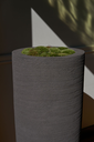 Dusk ROA (7).webp