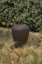 Storm ROA (1).webp
