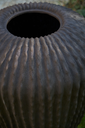 Storm ROA (4).webp