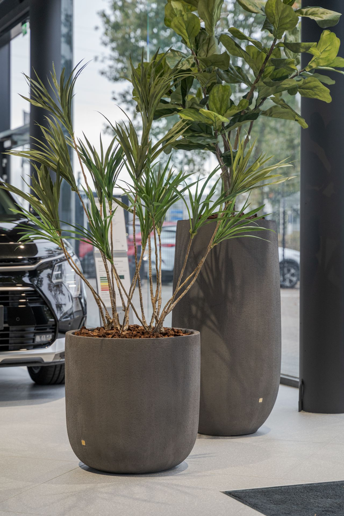 ROA Drift and Loam (1).webp