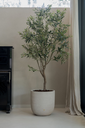 Drift ROA (13).webp
