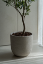 Drift ROA (11).webp