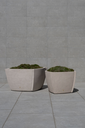 Elements Square ROA.webp