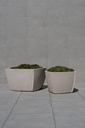 Elements-Square-1-scaled.webp