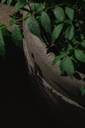 Malm ROA (2).webp