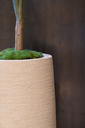 Loam ROA (7).webp