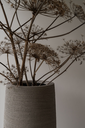 Loam ROA (4).webp