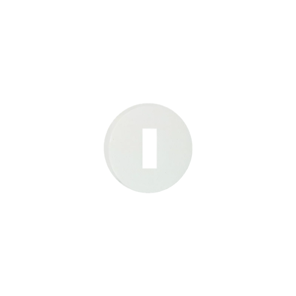 HELSINKI ESCUTCHEON