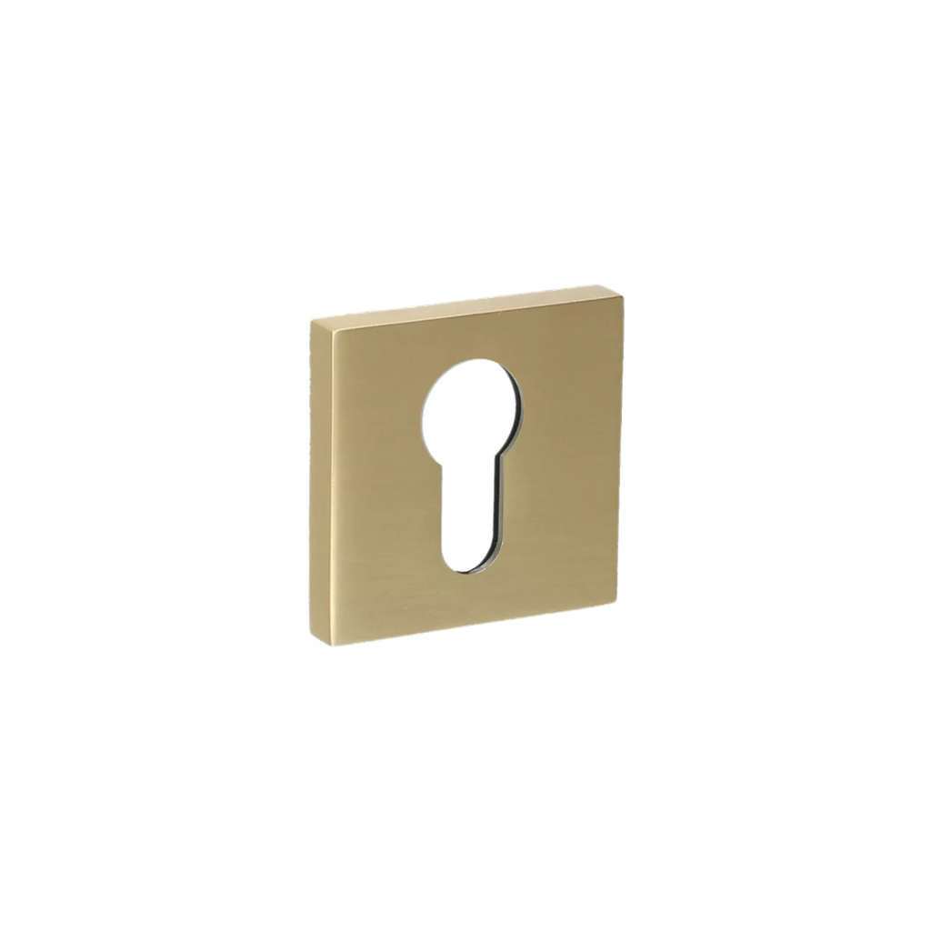 BERLIN ESCUTCHEON