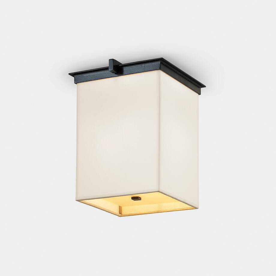 STEEG CEILING MOUNT