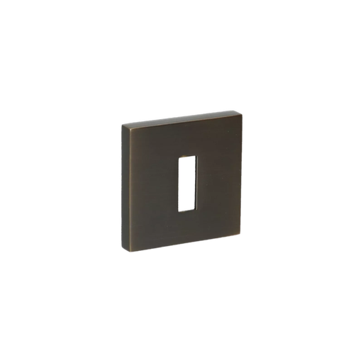 704 ESCUTCHEON 