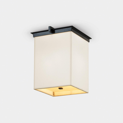 STEEG CEILING MOUNT
